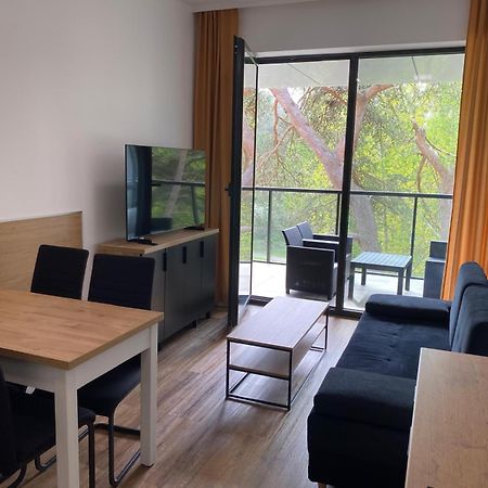 Apartament Dorka روغوفو المظهر الخارجي الصورة